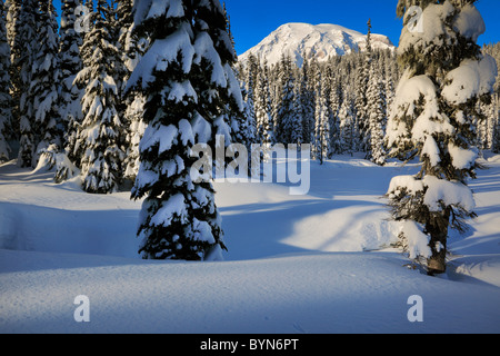 Mount Rainier Nationalpark wird ein Winter-Wunderland im Winter mit Schnee bedeckten Bäume und Trails für Schneeschuhwandern und Skifahren Stockfoto