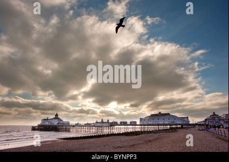 Eastbourne Pier, Blick von Osten nach Westen Stockfoto