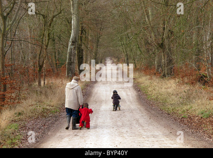 Ein Großvater mit seinen Enkeln im Privatbesitz Savernake Wald, Wiltshire UK Stockfoto