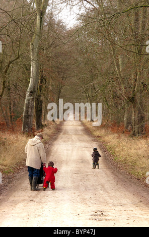 Ein Großvater mit seinen Enkeln im Privatbesitz Savernake Wald, Wiltshire UK Stockfoto