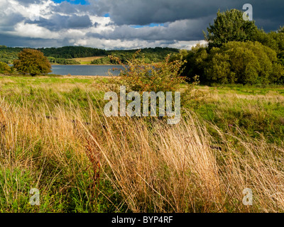 Blick in Richtung Carsington Wasser ein großes Reservoir dient den englischen Midlands in der Nähe von Wirksworth in Derbyshire Dales Großbritannien Stockfoto