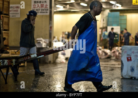 Japaner ziehen einen Karren mit Thunfisch für die Auktion im Tsukiji-Fischmarkt stattfinden. Stockfoto