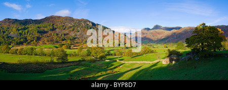 Herbstmorgen Licht über Great Langdale Valley im Lake District National Park, Cumbria, England. Stockfoto