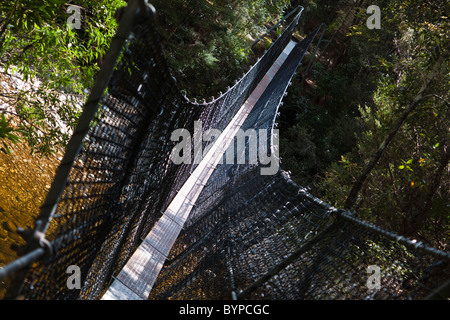 Hängebrücke, Franklin River, Tasmanien, Australien Stockfoto