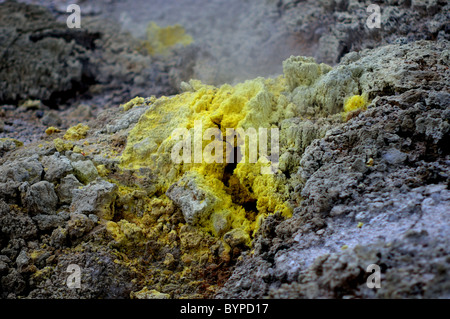 Ablagerungen von elementaren Schwefel um Öffnungen in Wai-o-Tapu geothermal Region in Neuseeland Stockfoto