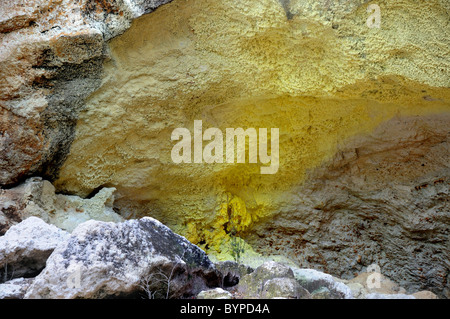 Ablagerungen von elementaren Schwefel um Öffnungen in Wai-o-Tapu geothermal Region in Neuseeland Stockfoto