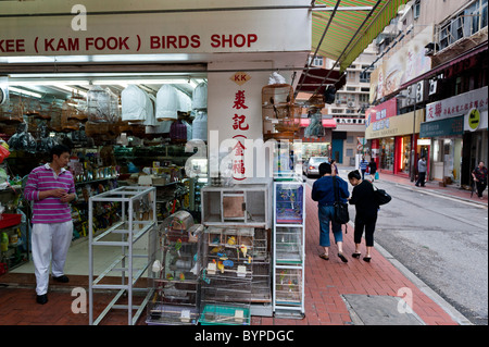 Traditionelle Vogel Shop in Sheung Wan Stockfoto