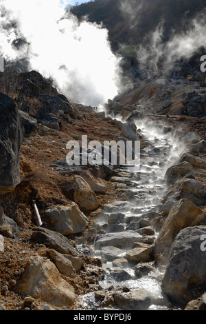 Dampf steigt und fließt heißes Quellwasser in Hakone Nationalpark, Japan, Tokio. Stockfoto