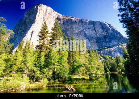 Morgenlicht am El Capitan, Yosemite-Nationalpark, Kalifornien Stockfoto