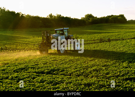 Eine kommerzielle Spritze RoGator 854 gilt Herbizid für ein Feld von frühen Wachstum Sojabohnen zur Unkrautbekämpfung / Iowa, USA. Stockfoto
