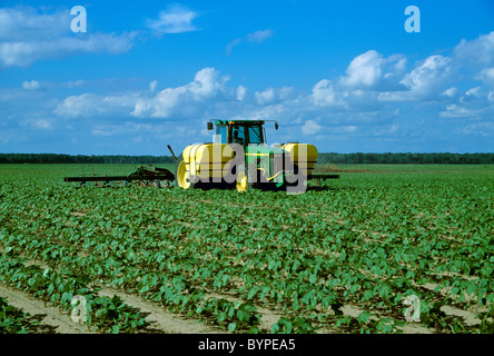 Landwirtschaft - chemische Anwendung des Herbizids in einem konventionell gelockerten frühen Wachstum Baumwollfeld / Mississippi, USA. Stockfoto