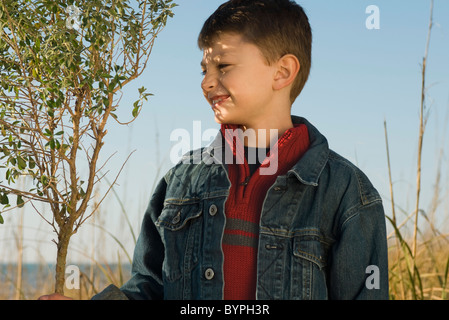 Jungen mit Befriedigung auf Bäumchen Baum suchen Stockfoto