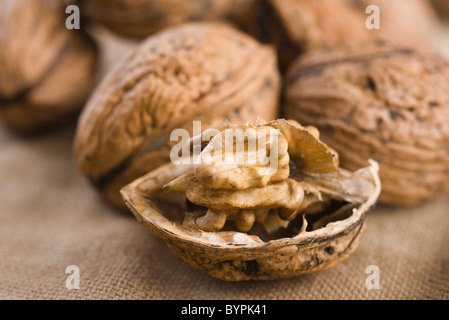 Beschuss Walnüsse Stockfoto