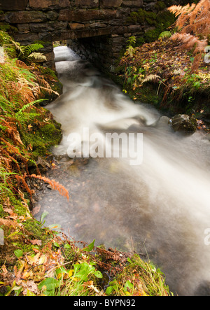 Tumbling Wasserfall fließt durch reiche Herbstfärbung in der alten Forrests auf Dun Ghallain Stockfoto