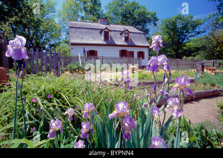 Blumen in einem kolonialen Garten, Johnson Ferry House, Washington Crossing State Park, New Jersey Stockfoto