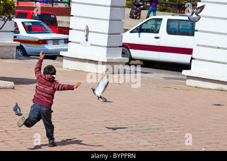 Lokalmatador Jagd auf Tauben in San Cristobal de Las Casas, Chiapas, Mexiko Stockfoto