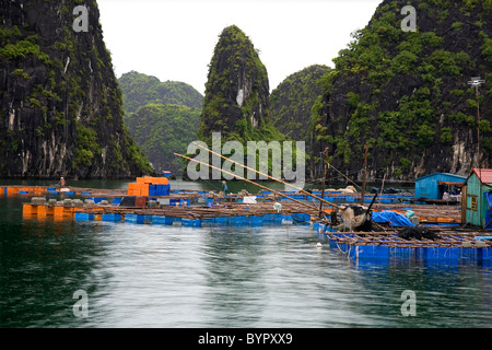 Fischerdorf in Ha Long Bay. Quang Ninh Provinz, Vietnam, Asien. Stockfoto