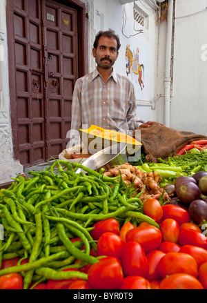 Indien, Rajasthan, Udaipur, pflanzliche Verkäufer Porträt Stockfoto