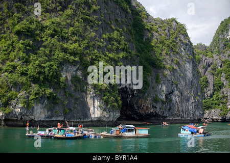 Fischerdorf in Ha Long Bay. Quang Ninh Provinz, Vietnam, Asien. Stockfoto