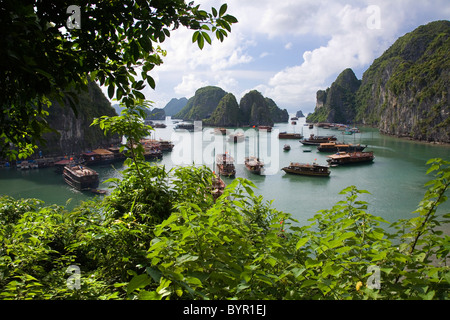 Blick vom Hang Sung Sot Grotte. Ha Long Bucht, Vietnam, Asien. Stockfoto