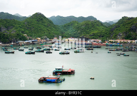 Boote im Hafen von Cat Ba. Ha Long Bay. Quảng Ninh Provinz, Vietnam. Stockfoto