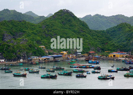 Boote im Hafen von Cat Ba. Ha Long Bay. Quảng Ninh Provinz, Vietnam. Stockfoto