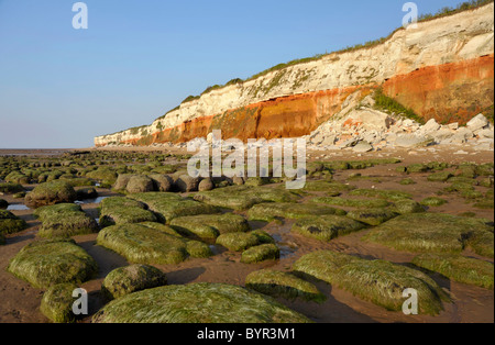 Die Klippen und Strand am alten Hunstanton in Norfolk. Stockfoto