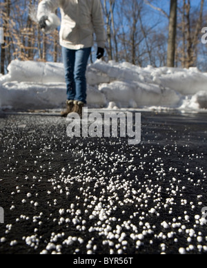 Eine Frau werfen Salz auf einer Einfahrt zum Schmelzen von Eis und Schnee Stockfoto