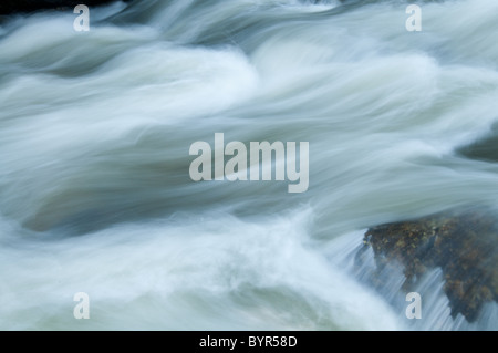 Wasser fließt über große Felsbrocken in einem schnell bewegten Berg River. Stockfoto