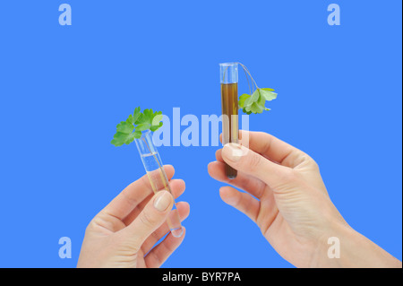 Reinigen und Schmutzwasser Proben mit frischen und Welke Blätter - Ausschnitt Stockfoto