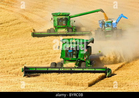 Zwei John Deere kombiniert im Tandem Ernte Weizen, während ein entlädt in ein Korn "on-the-Go" Warenkorb / in der Nähe von Pullman, Washington, USA. Stockfoto