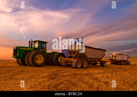 Ein LKW-Fahrer überwacht das Laden von seinem Korn-LKW aus einem Getreide Wagen bei Sonnenuntergang / Pullman, Palouse Region, Washington, USA. Stockfoto