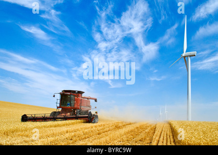 Case IH Mähdrescher erntet Weizen mit drei großen Windenergieanlagen entlang des Umfangs des Feldes / Washington, USA. Stockfoto