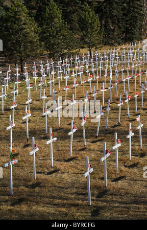 Weiße Kreuze in einem Feld mit kanadischen Flaggen; Calgary, Alberta, Kanada Stockfoto