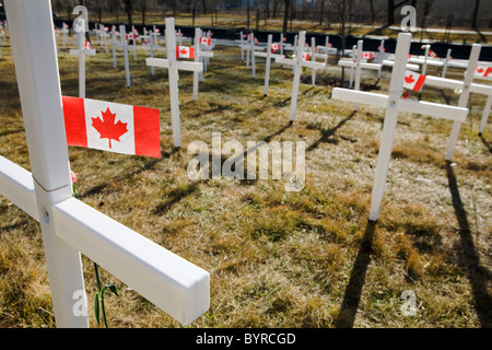 Weiße Kreuze in einem Feld mit kanadischen Flaggen; Calgary, Alberta, Kanada Stockfoto