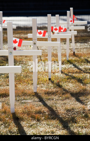 Weiße Kreuze in einem Feld mit kanadischen Flaggen; Calgary, Alberta, Kanada Stockfoto