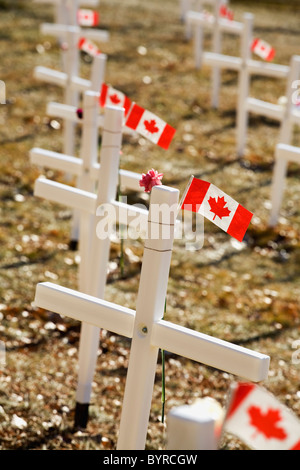 Weiße Kreuze in einem Feld mit kanadischen Flaggen; Calgary, Alberta, Kanada Stockfoto