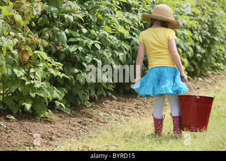 ein Mädchen trägt einen Strohhut und trägt einen großen, roten Eimer für Beeren pflücken; Troutdale, Oregon, Vereinigte Staaten von Amerika Stockfoto