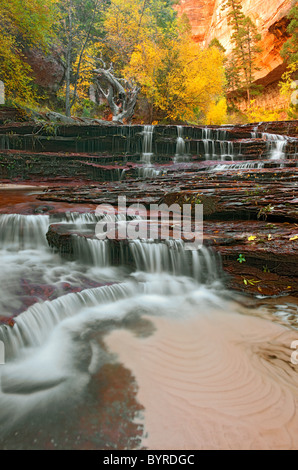 Die linke Gabel des North Creek gießt über Erzengel verliebt sich in Utah Zion Nationalpark Wilderness Area. Stockfoto