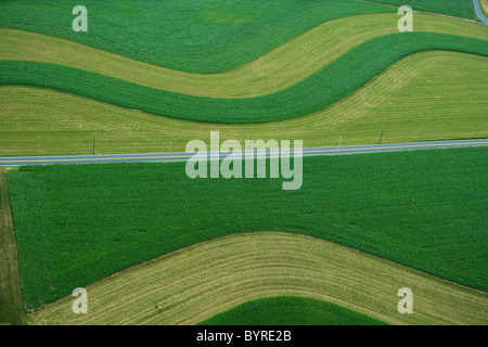Luftaufnahme von landwirtschaftlich genutzten Feldern mit Coutour Streifen von jungen Körnermais und gemähten Rasen Zwischenfrucht im Frühsommer / USA. Stockfoto