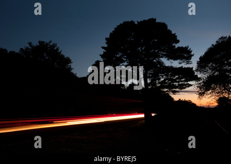 Auto Lichter im New Forest National Park Stockfoto