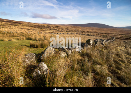 Typisch irische Landschaft. In Wicklow Mountains gedreht. Stockfoto