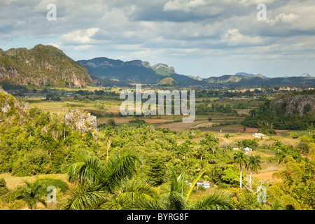 Kuba, Pinar del Rio Region Valle de Viñales (Vinales) Bereich. Kalkstein Mogotes bilden einen Hintergrund für Felder von Tabak und Mais. Stockfoto