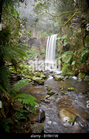 Hopetoun Falls im Otways Regenwald Stockfoto