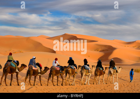 Tuareg berber Mann führt eine Gruppe von Touristen auf Kamelen durch die Wüste Erg Chebbi mit goldenen Sanddünen in Marokko Stockfoto