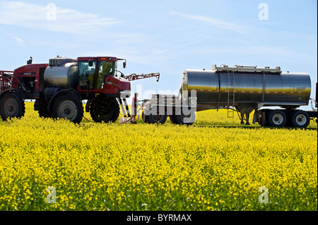 Ein Bauer lädt seine hohe Bodenfreiheit Sprüher mit Fungizid und Wasser zu eine blühenden Raps Ernte für Weißstängeligkeit sprühen / Kanada. Stockfoto