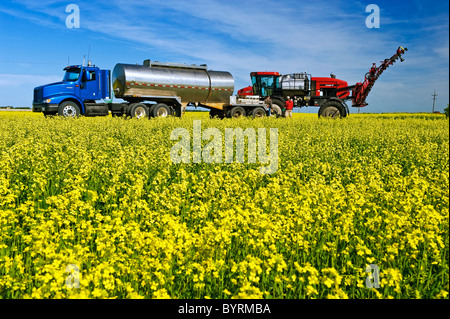 Ein Bauer lädt seine hohe Bodenfreiheit Sprüher mit Fungizid und Wasser zu eine blühenden Raps Ernte für Weißstängeligkeit sprühen / Kanada. Stockfoto