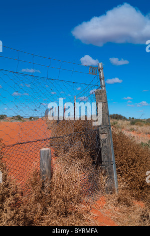 Dingozaun im Outback Australien Stockfoto