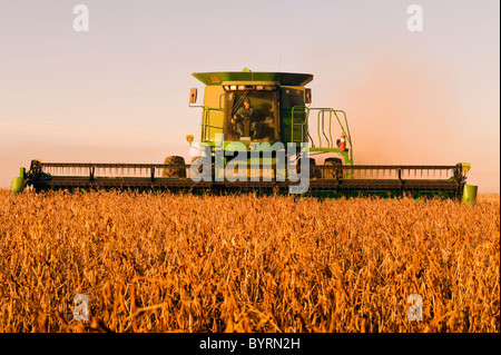 Landwirtschaft - ein John Deere kombinieren ernten Reifen Sojabohnen im späten Nachmittag leichte / in der Nähe von Oakbank, Manitoba, Kanada. Stockfoto