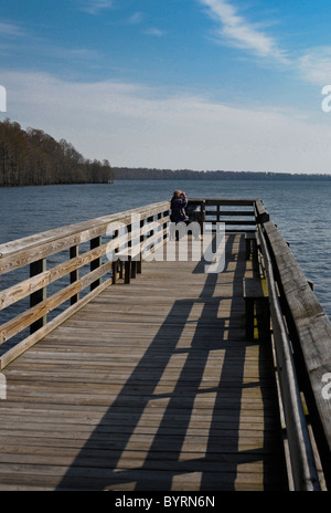 Der Boardwalk durch Pettigrew State Park, North Carolina Stockfoto